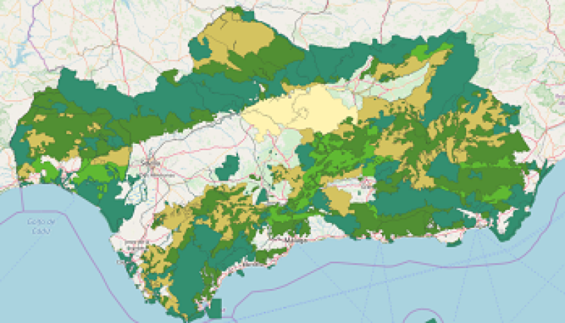 REDIAM. WMS Mapa De Las áreas Estratégicas Del Plan Director Para La ...