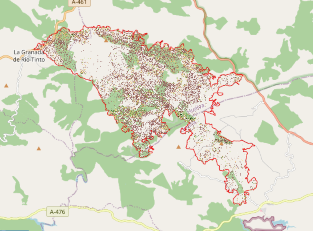 overview