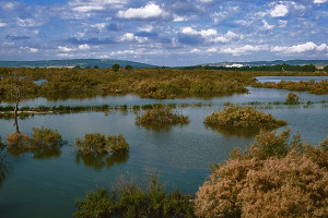 overview