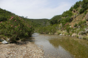 overview