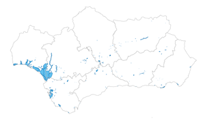 overview