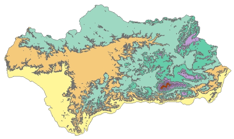 overview