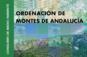 overview