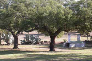 overview