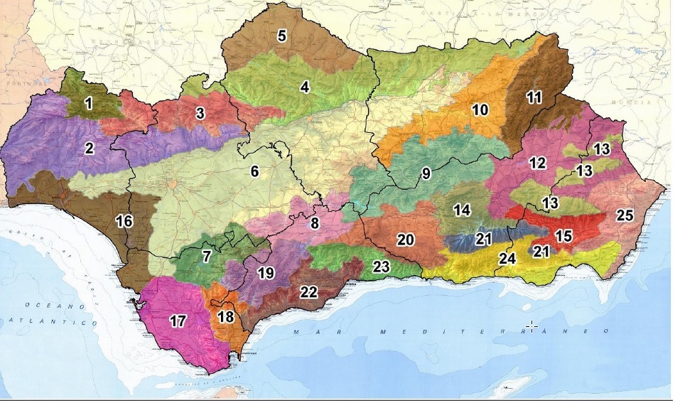 overview