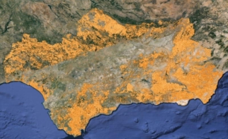 overview