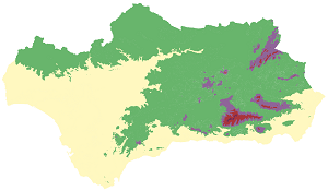 overview