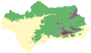 overview