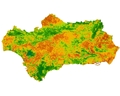 overview