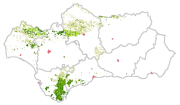 overview