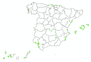 overview