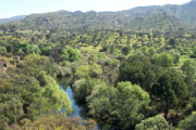 overview