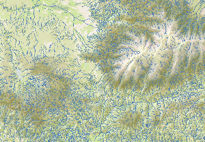 overview