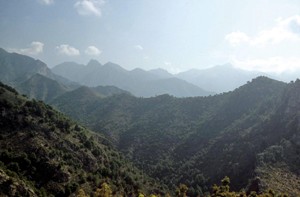 overview