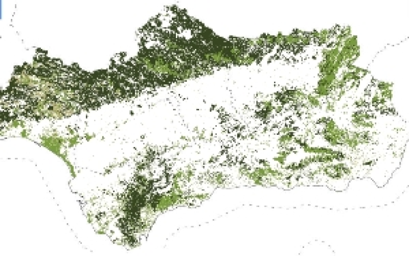 overview
