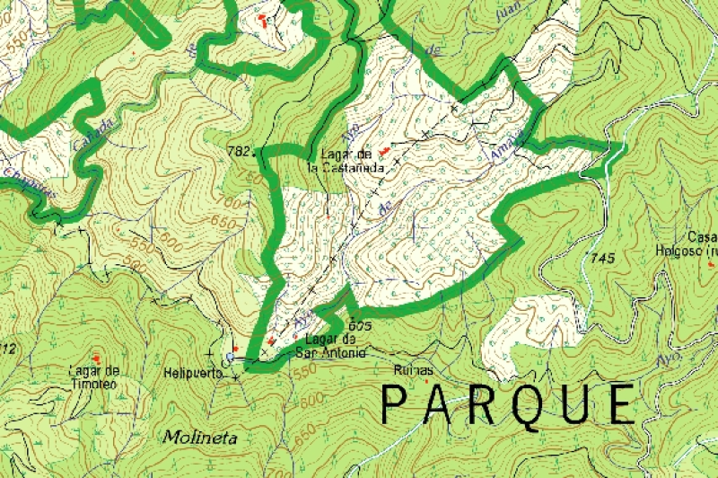 overview