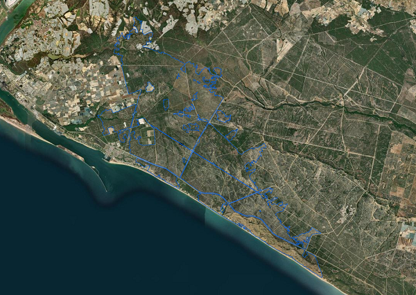 overview