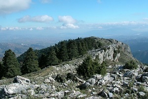 overview