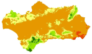 overview
