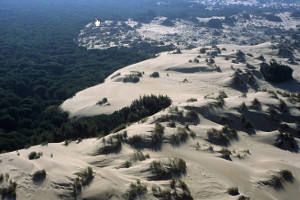 overview