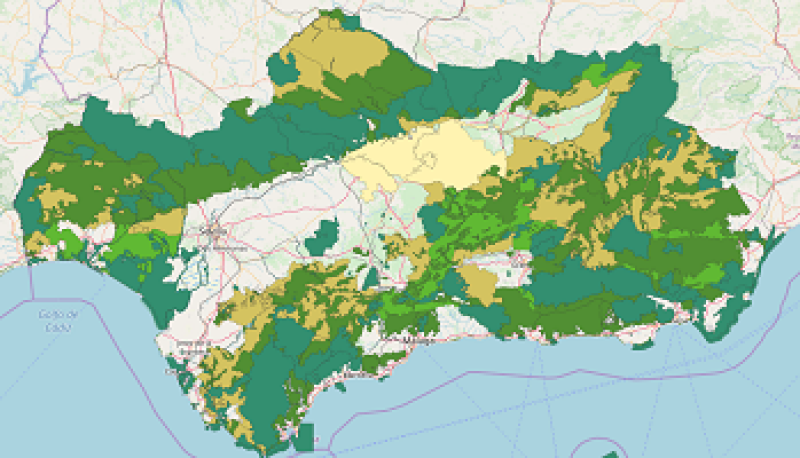 overview