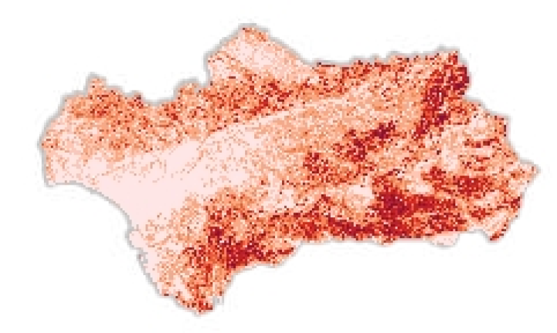 overview