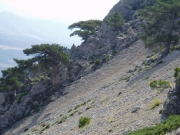 overview