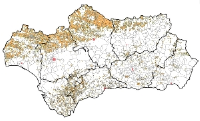 overview