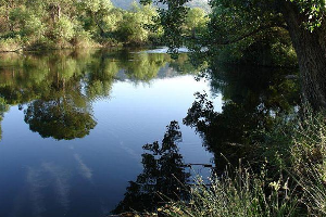 overview