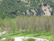 overview