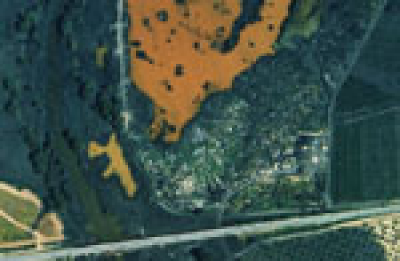 overview