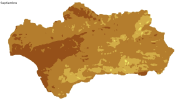 overview