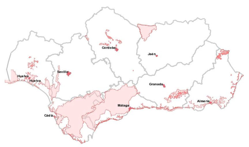overview
