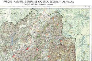 overview
