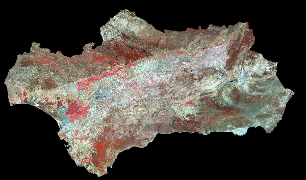 overview