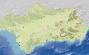 overview