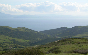 overview
