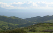 overview