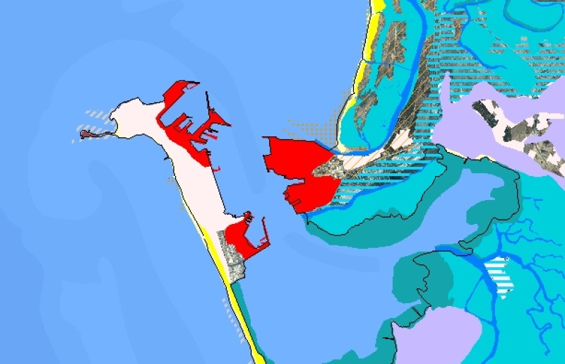 overview