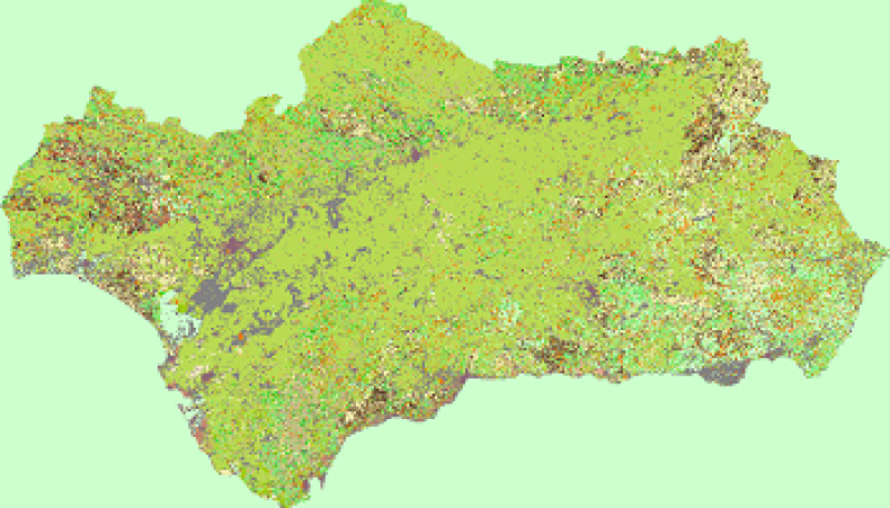 overview