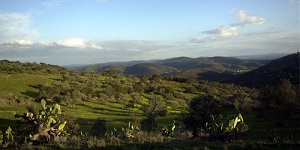 overview