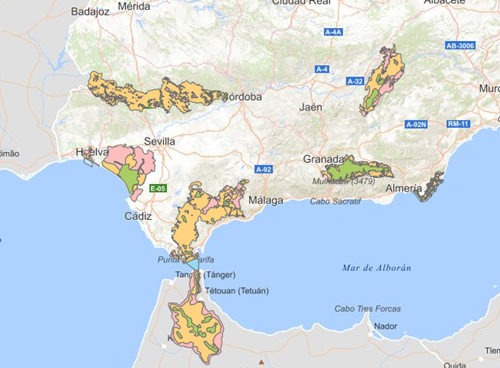overview