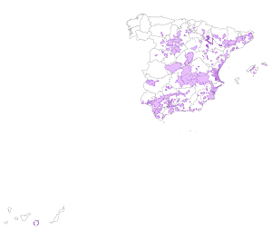overview
