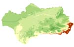 overview