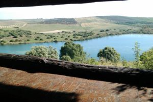 overview