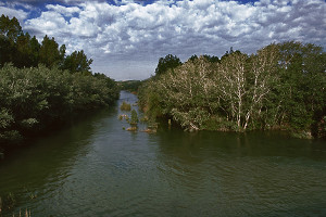 overview