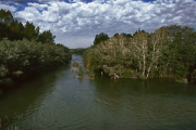 overview