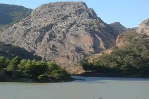 overview