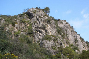 overview
