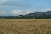 overview